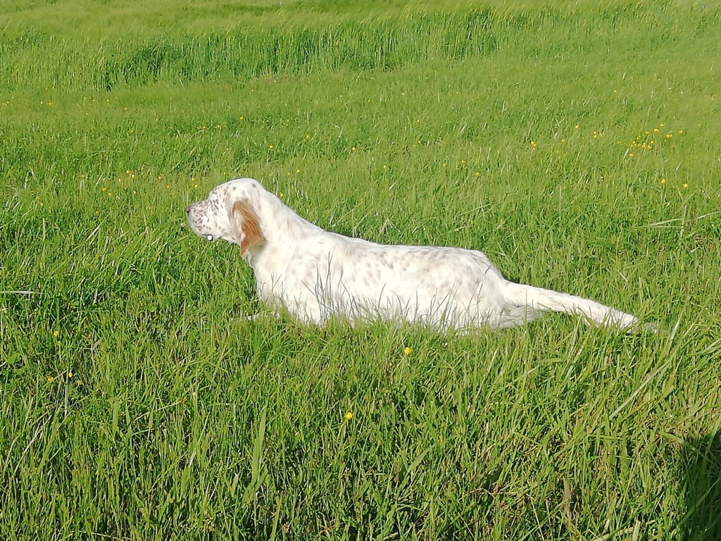 Marley De La Vallée De Champlebout
