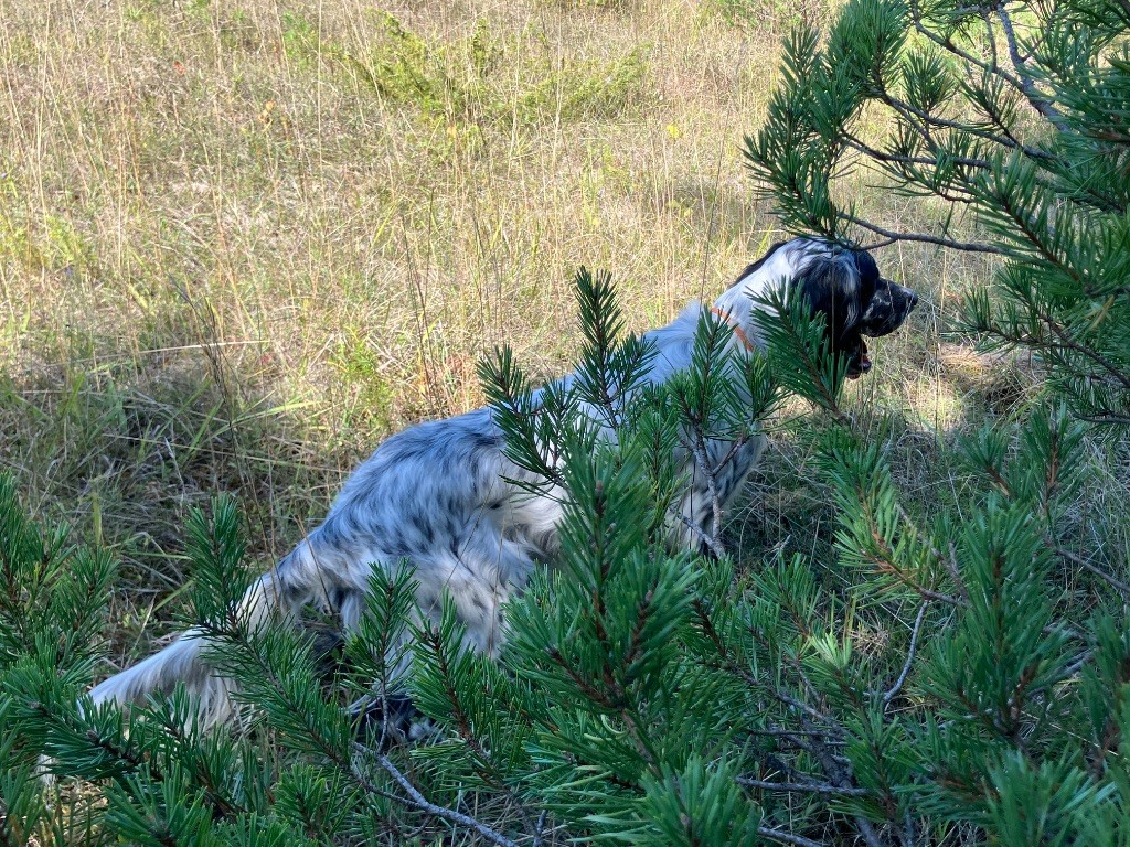 Valy De La Vallée De Champlebout