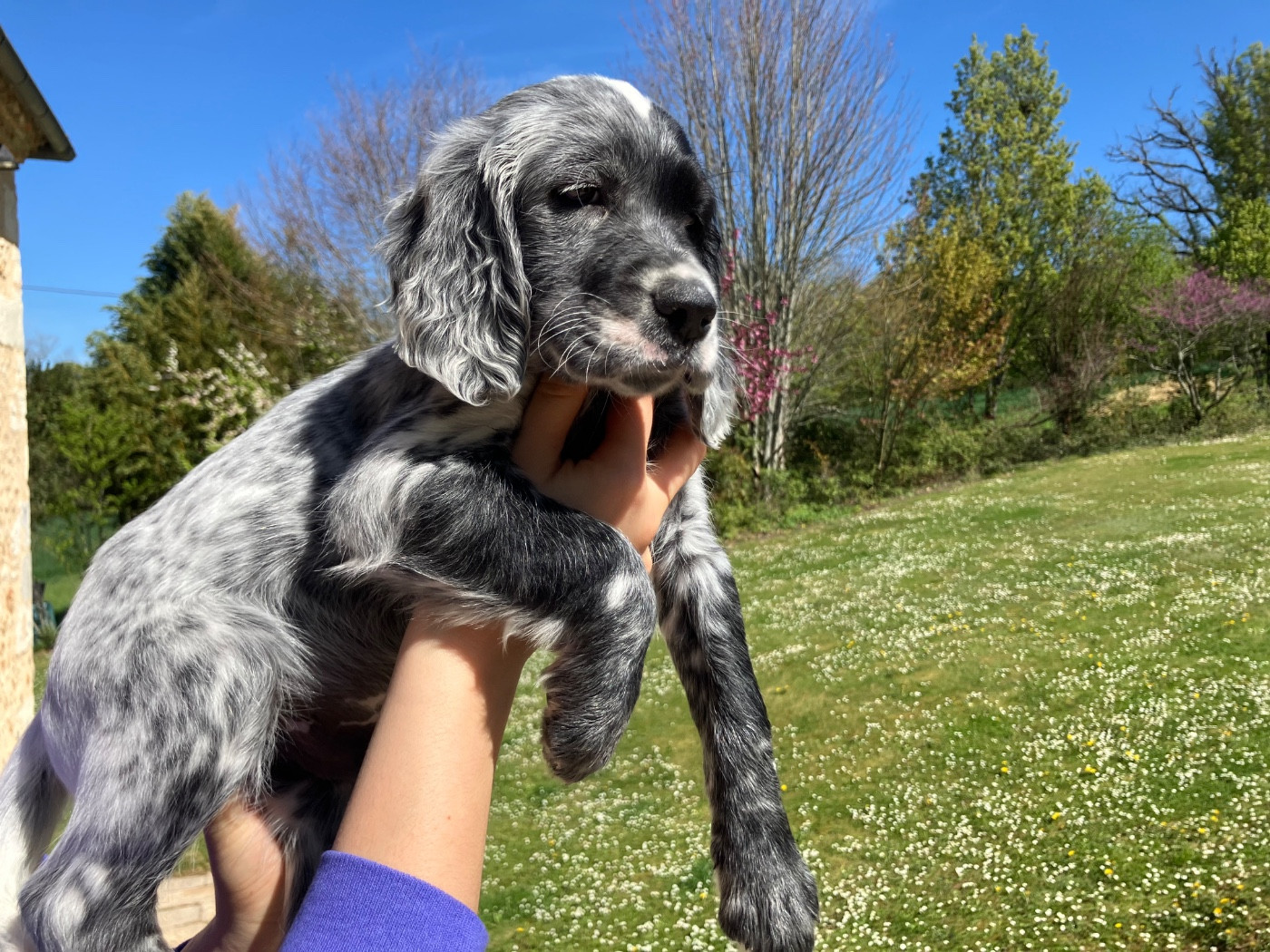 Bounty De La Vallée De Champlebout