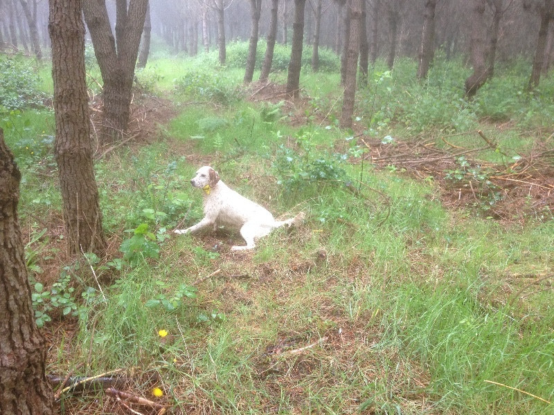 Franca du Bief Joli vient de réaliser son dernier parcours